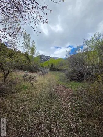 $99,900 | N/a Oliver Drive, Salmon, ID 83467