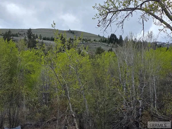 $99,900 | N/a Oliver Drive, Salmon, ID 83467