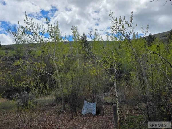 $99,900 | N/a Oliver Drive, Salmon, ID 83467
