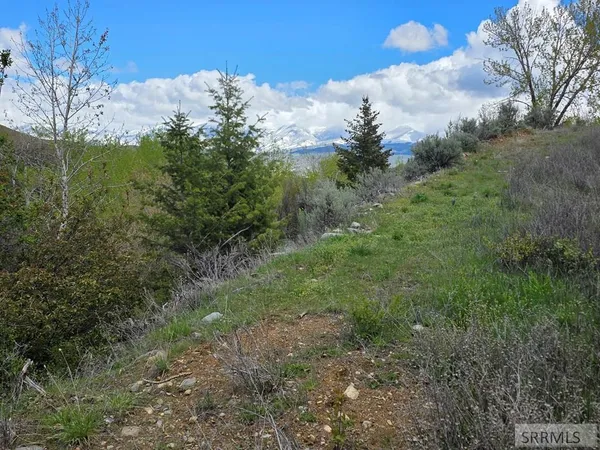 $99,900 | N/a Oliver Drive, Salmon, ID 83467