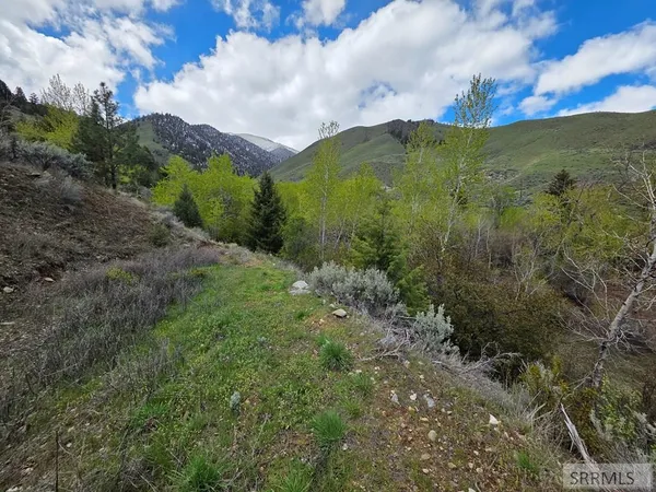 $99,900 | N/a Oliver Drive, Salmon, ID 83467