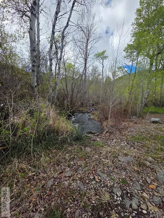 $99,900 | N/a Oliver Drive, Salmon, ID 83467
