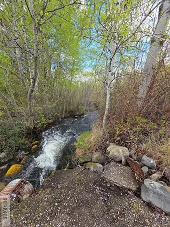 $99,900 | N/a Oliver Drive, Salmon, ID 83467