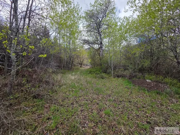 $99,900 | N/a Oliver Drive, Salmon, ID 83467
