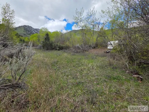 $99,900 | N/a Oliver Drive, Salmon, ID 83467
