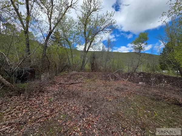 $99,900 | N/a Oliver Drive, Salmon, ID 83467