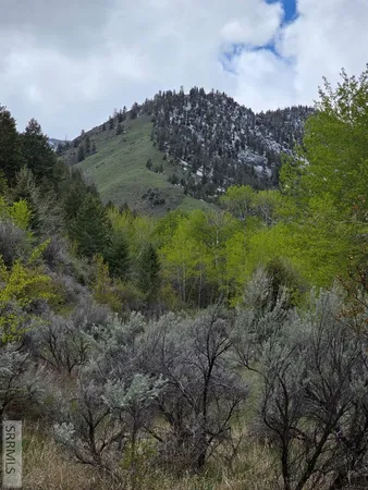 $99,900 | N/a Oliver Drive, Salmon, ID 83467