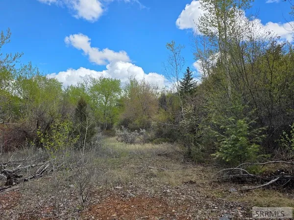 $99,900 | N/a Oliver Drive, Salmon, ID 83467