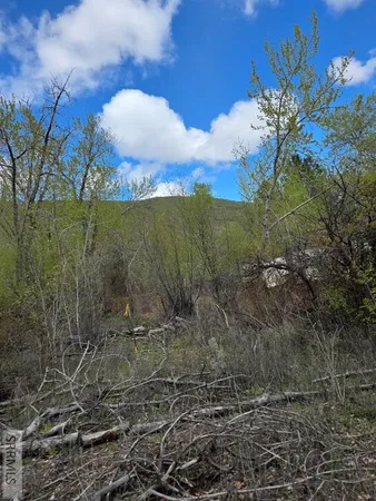 $99,900 | N/a Oliver Drive, Salmon, ID 83467