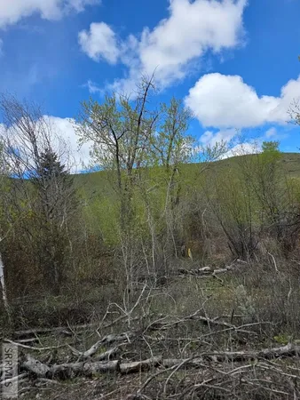 $99,900 | N/a Oliver Drive, Salmon, ID 83467