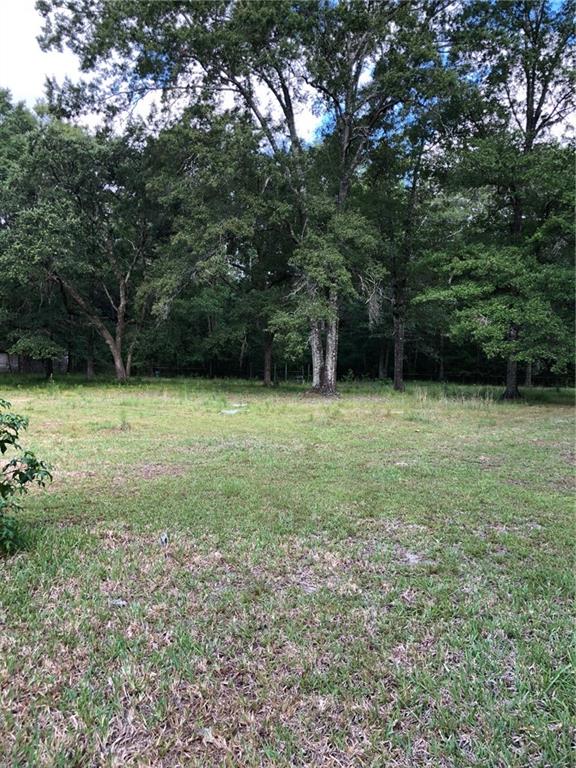 20191 Sister's Road Hammond, LA 70403 - Photo 2 of 5