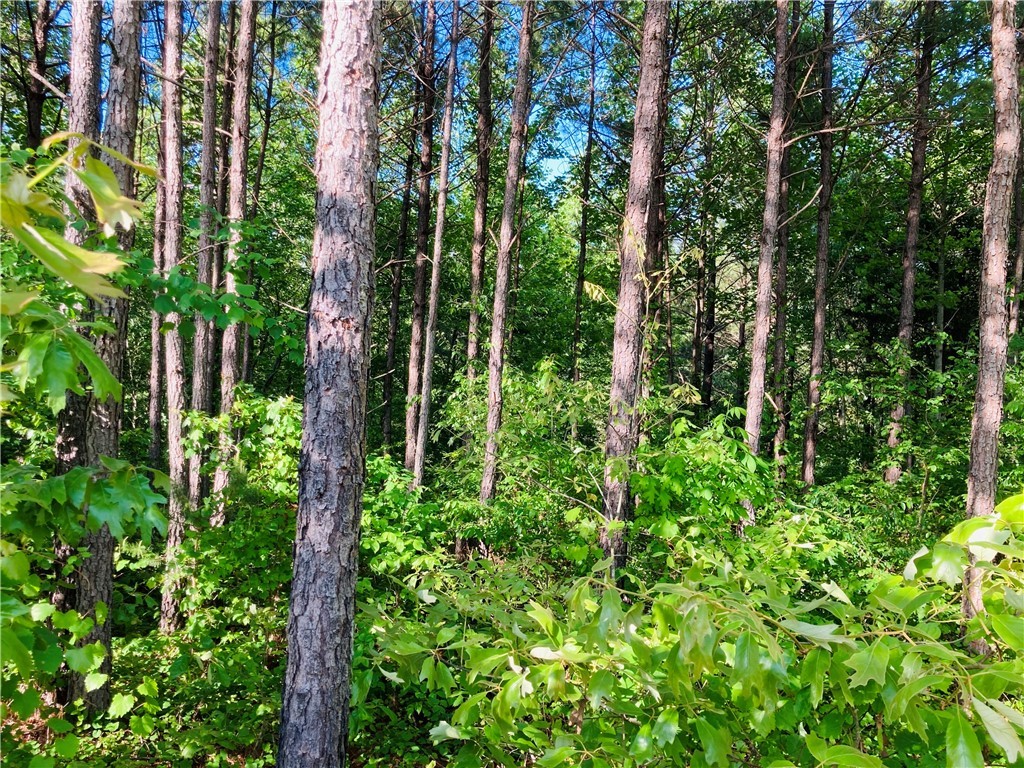0 McAlister Road West Union, SC 29696 - Photo 2 of 13