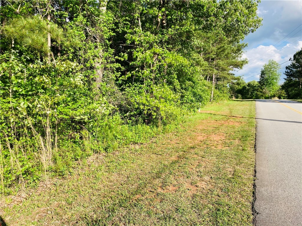 0 McAlister Road West Union, SC 29696 - Photo 3 of 13