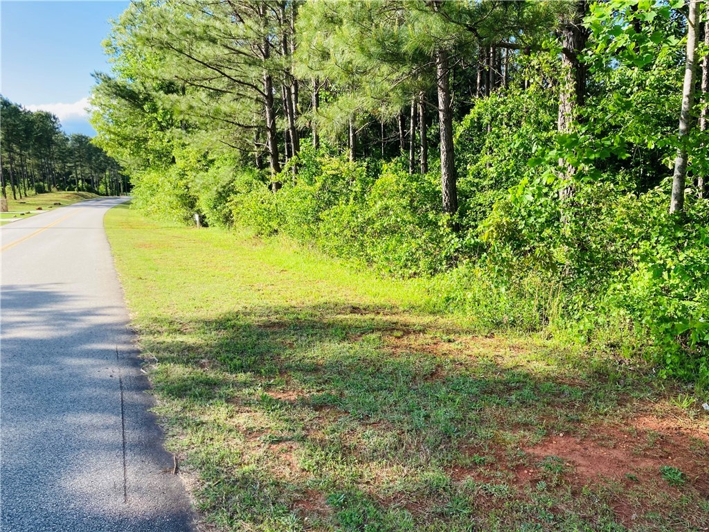 0 McAlister Road West Union, SC 29696 - Photo 4 of 13