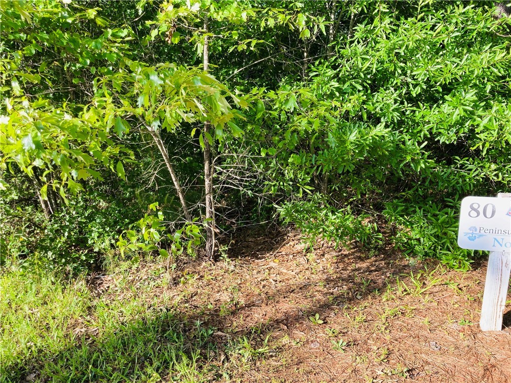 0 McAlister Road West Union, SC 29696 - Photo 6 of 13