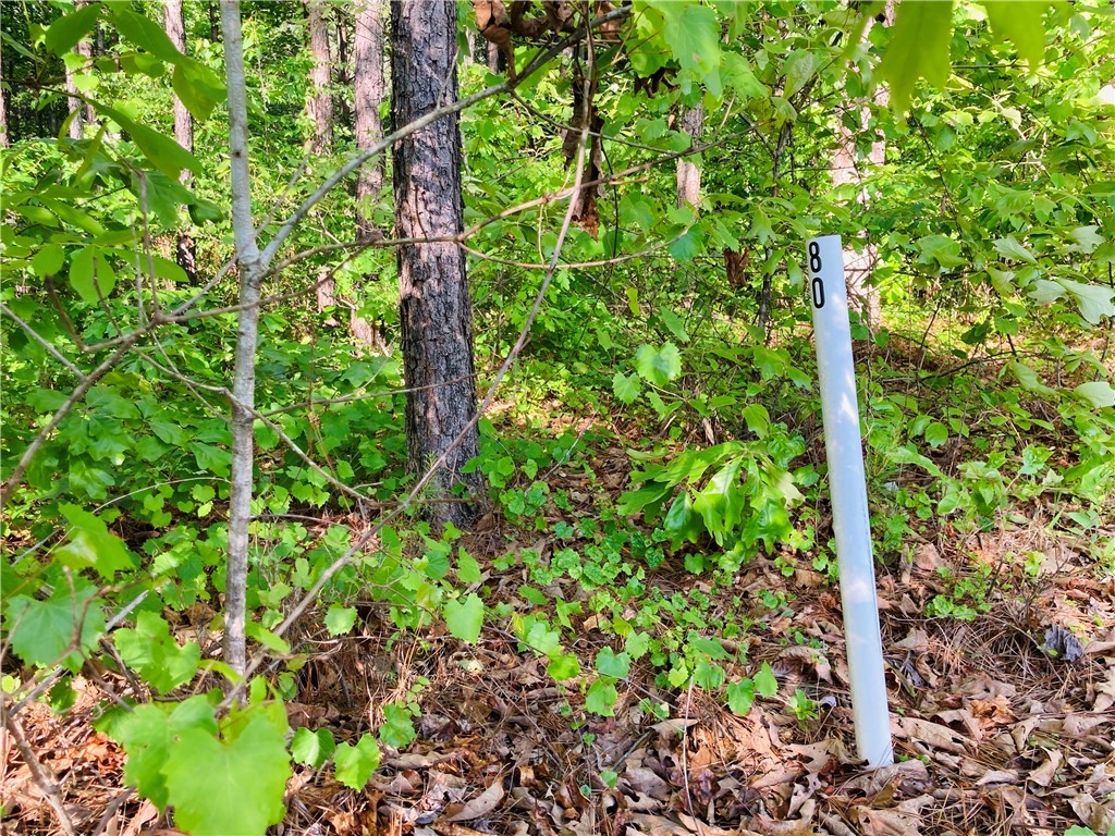0 McAlister Road West Union, SC 29696 - Photo 7 of 13