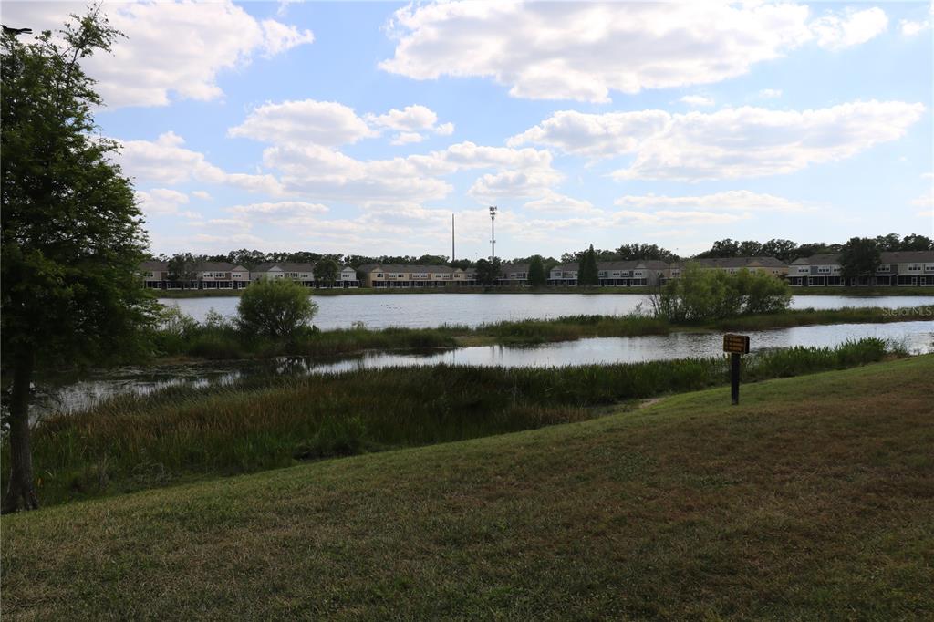 10165 Haverhill Ridge Drive Riverview, FL 33578 - Photo 15 of 33 a view of lake with houses in back