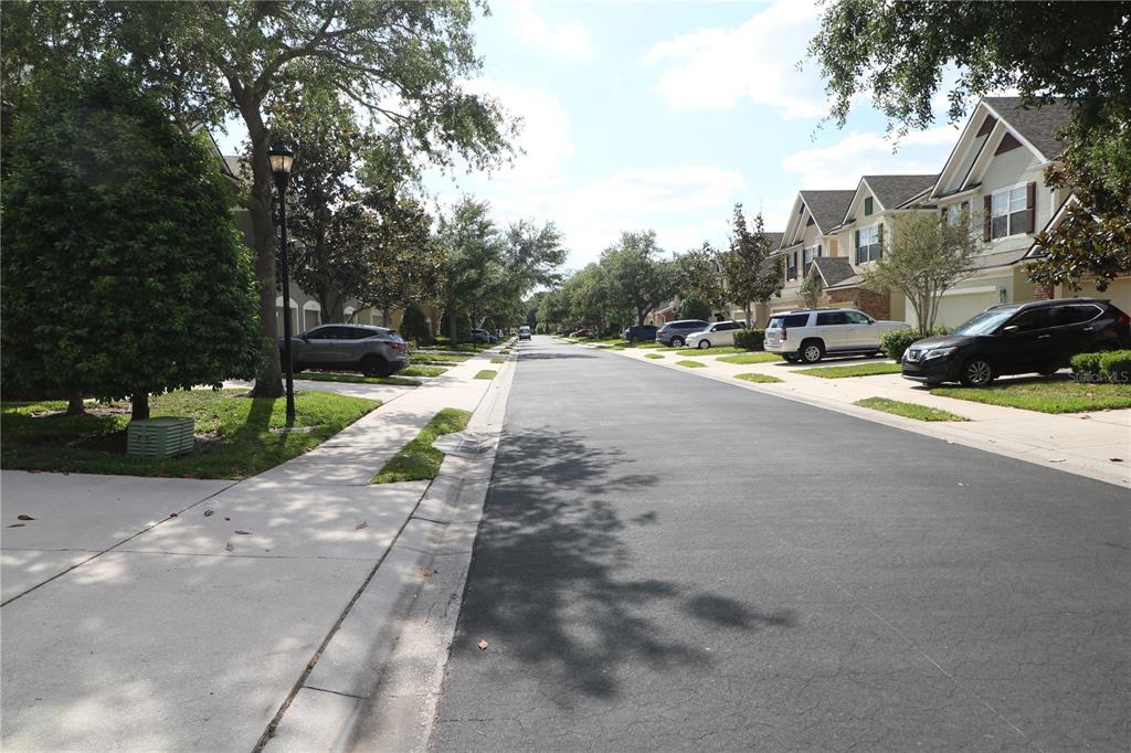 10165 Haverhill Ridge Drive Riverview, FL 33578 - Photo 2 of 33 a view of a street with a houses