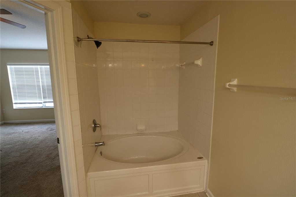 10165 Haverhill Ridge Drive Riverview, FL 33578 - Photo 25 of 33 a bathroom with a bathtub