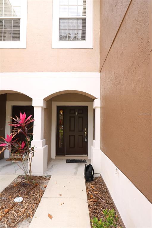 10165 Haverhill Ridge Drive Riverview, FL 33578 - Photo 4 of 33 a view of a entryway door of the house