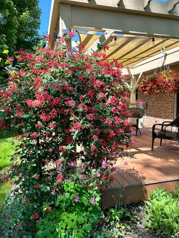 $333,000 | 2896 Kim Street, St. Joseph, MI 49085