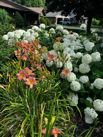 $333,000 | 2896 Kim Street, St. Joseph, MI 49085