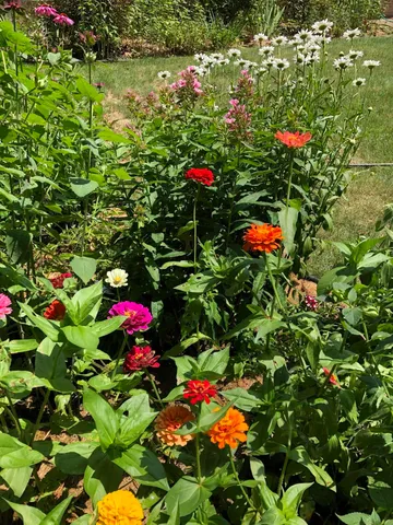 $333,000 | 2896 Kim Street, St. Joseph, MI 49085