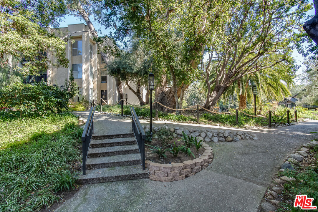 4107 Raintree Circle Culver City, CA 90230 - Photo 20 of 23 a view of a yard with plants and large trees