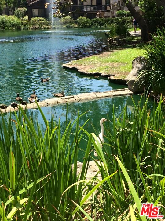 4107 Raintree Circle Culver City, CA 90230 - Photo 3 of 23 a view of a lake view with a garden