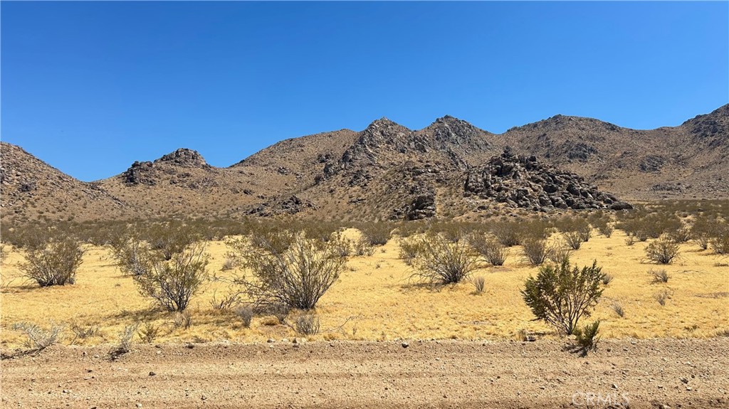 30455 Holmes Road Lucerne Valley, CA 92356 - Photo 9 of 11