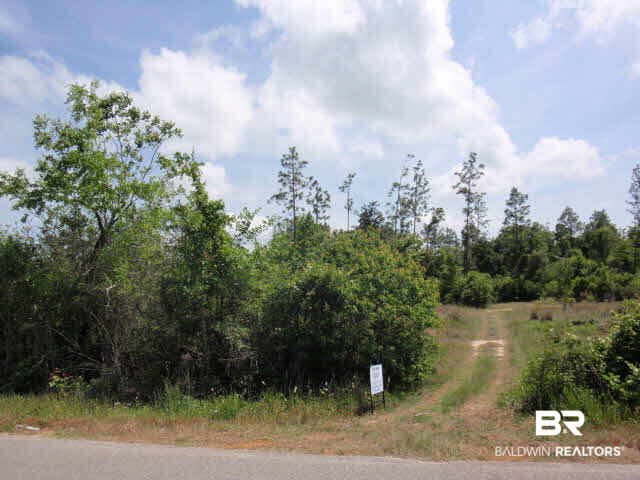 11 Browns Landing Road Seminole, AL 36574 - Photo 1 of 1