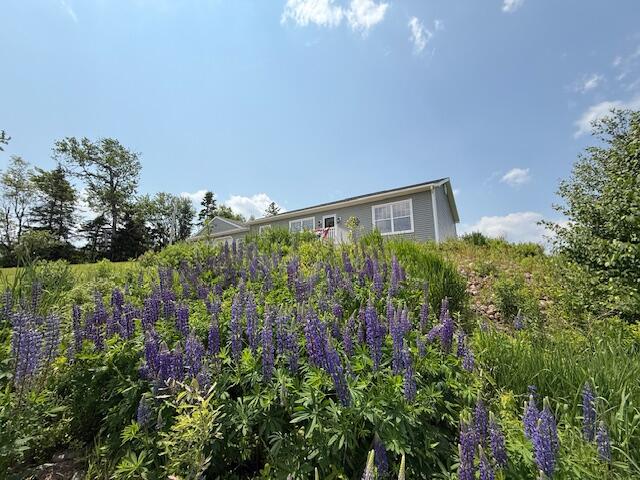 100 Highway 1 Robbinston, ME 04671 - Photo 20 of 121 IMG_9564 (1)