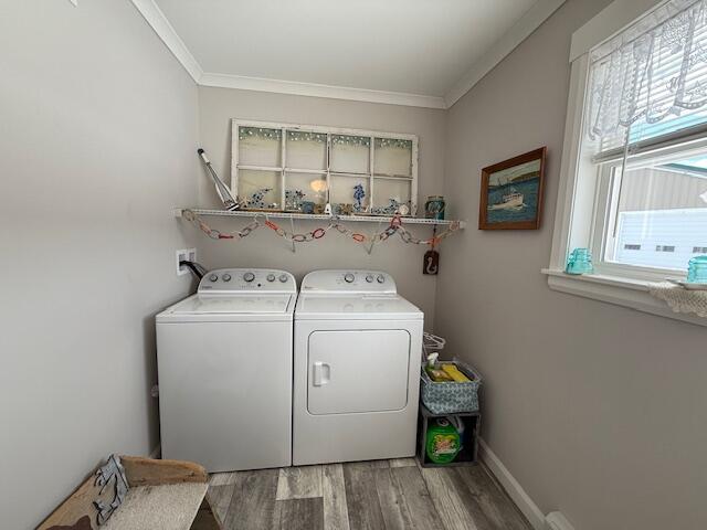 100 Highway 1 Robbinston, ME 04671 - Photo 26 of 64 IMG_2729 (1)