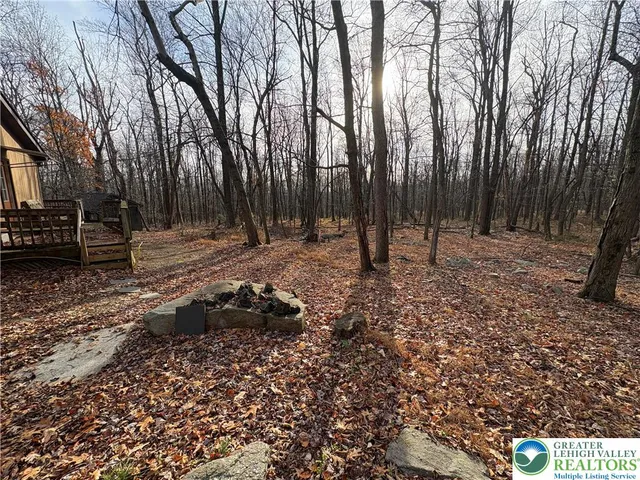 a view of backyard with large trees and wooden fence