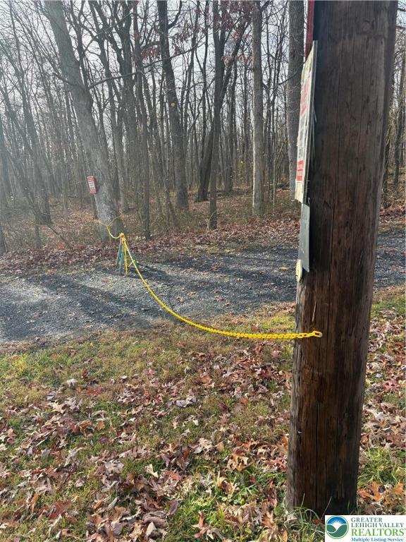 1433 Deer Path Drive Walnutport, PA 18088 - Photo 3 of 39 a view of a yard with large trees
