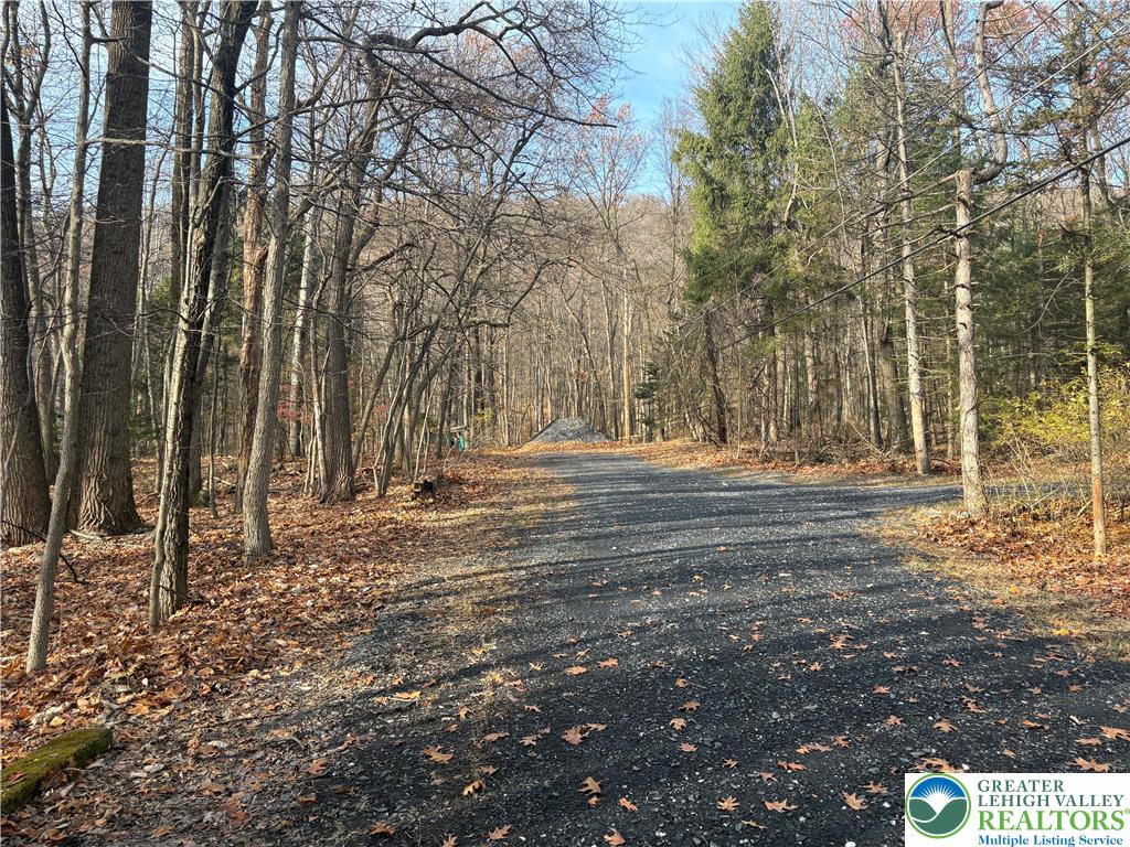 1433 Deer Path Drive Walnutport, PA 18088 - Photo 4 of 39 a backyard of a house with lots of green space