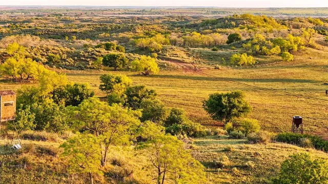 a swimming pool with an outdoor seating and a window