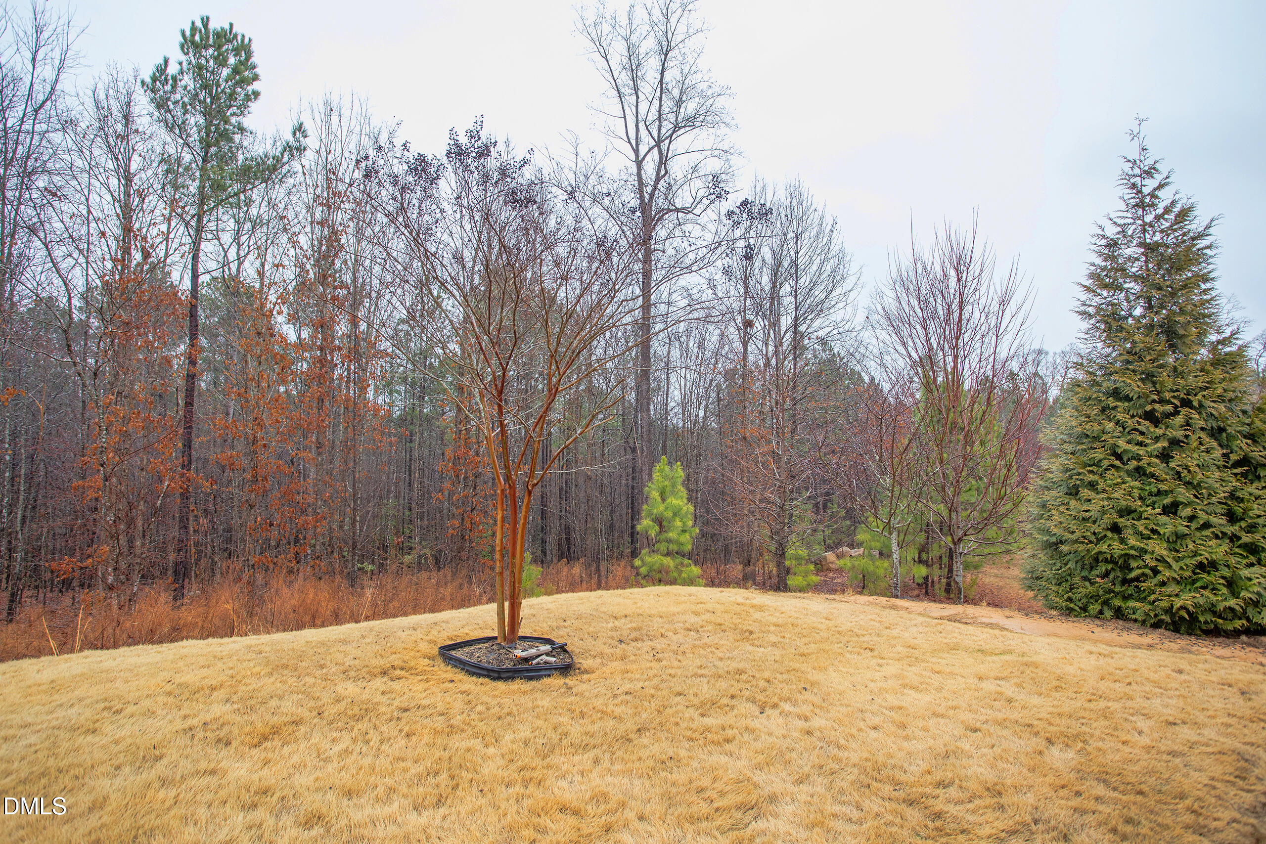 203 Post Oak Road Chapel Hill, NC 27516 - Photo 32 of 52 a backyard of a house with trees
