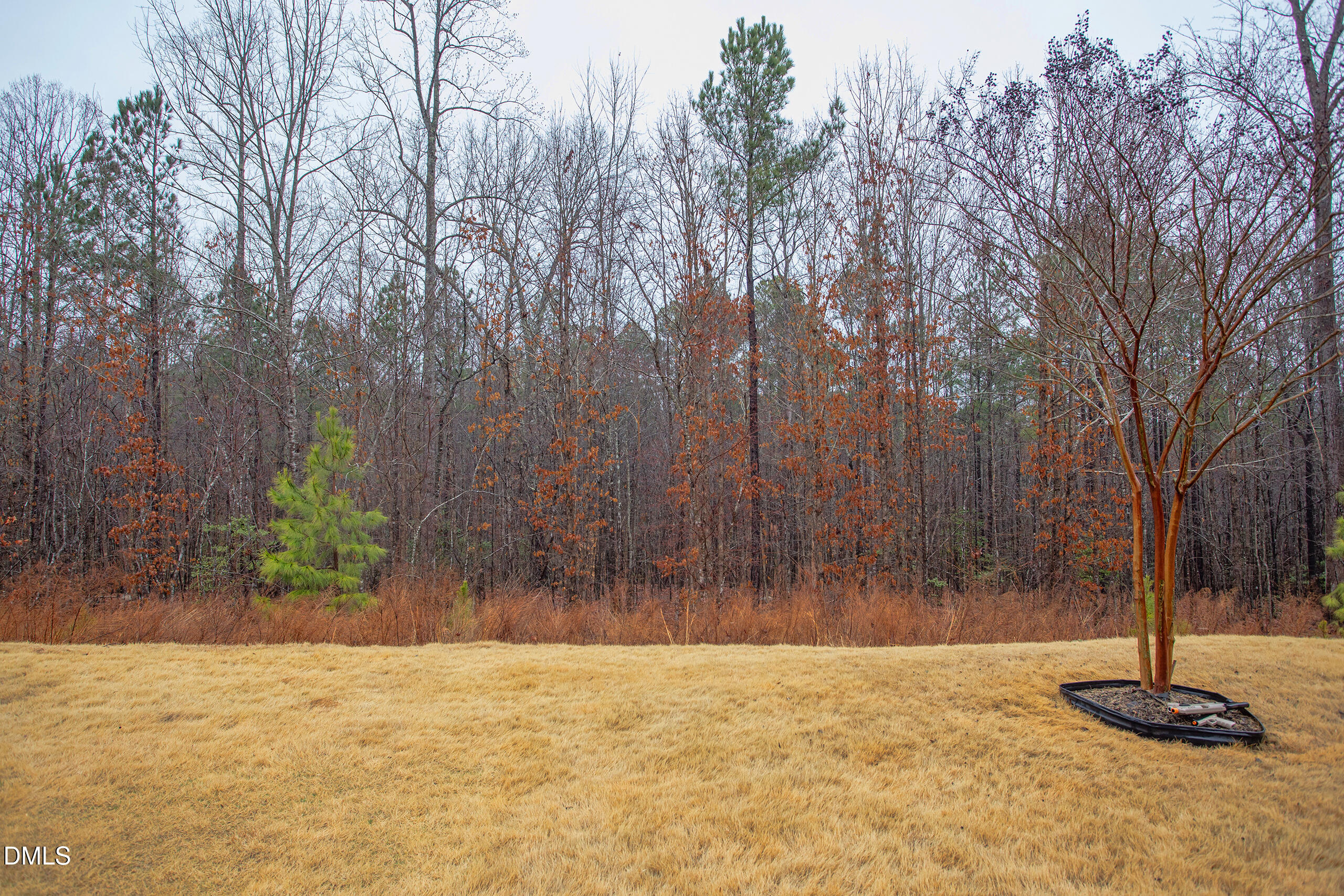 203 Post Oak Road Chapel Hill, NC 27516 - Photo 33 of 52 IMG_6062