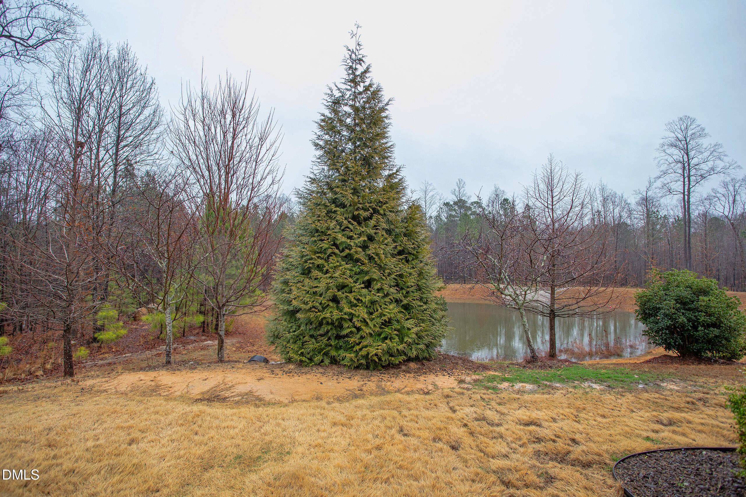 203 Post Oak Road Chapel Hill, NC 27516 - Photo 34 of 52 a backyard of a house with lots of green space