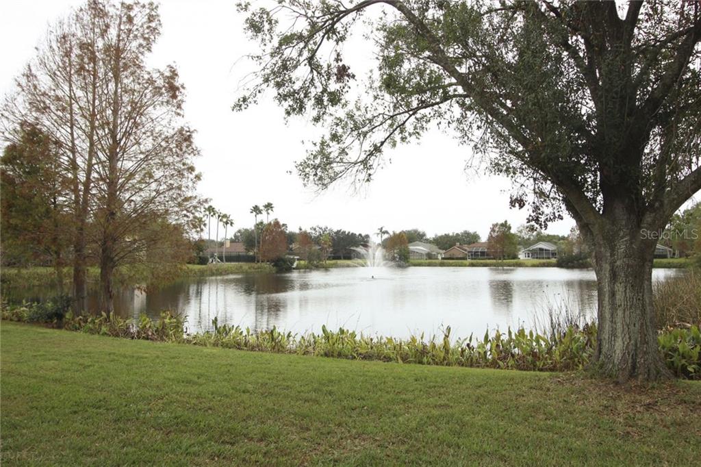 826 Grovesmere Loop Ocoee, FL 34761 - Photo 21 of 25 Gallery Image 21