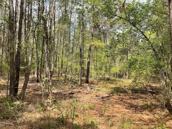 $160,000 | Lot 2-b Fuller Springs Drive, Lufkin, TX 75901