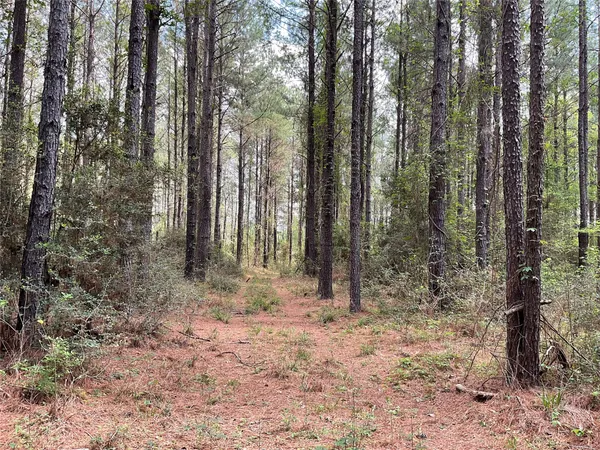 $160,000 | Lot 2-b Fuller Springs Drive, Lufkin, TX 75901