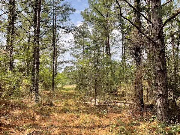 $160,000 | Lot 2-b Fuller Springs Drive, Lufkin, TX 75901