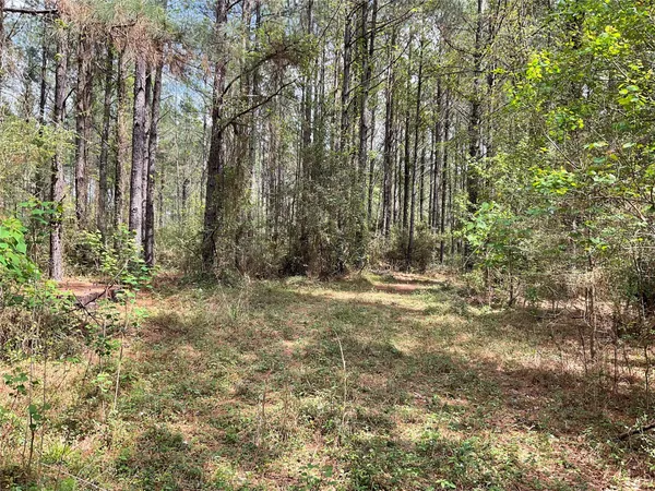 $160,000 | Lot 2-b Fuller Springs Drive, Lufkin, TX 75901