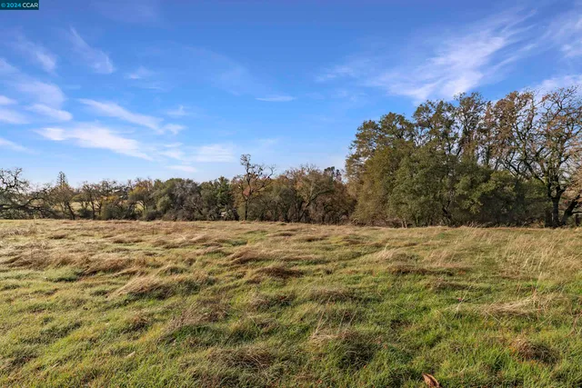 a view of city and ocean