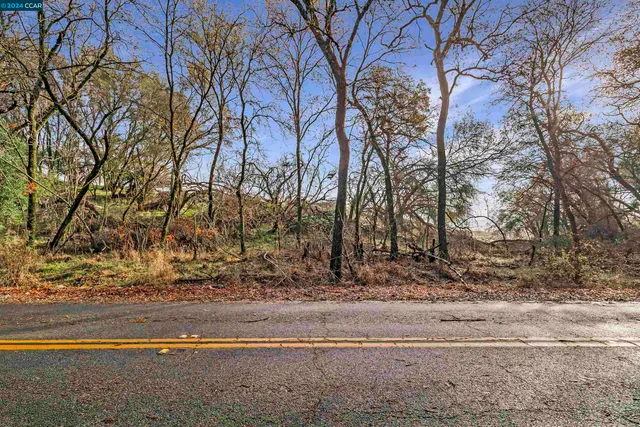 a view of a yard with trees