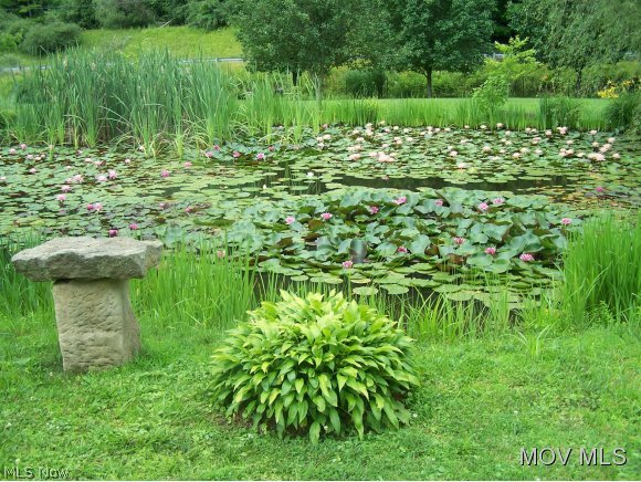 2866 Charleston Road Spencer, WV 25276 - Photo 22 of 24 Pond with goldfish