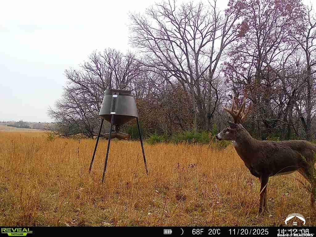 374 North 750 Road Overbrook, KS 66524 - Photo 56 of 60