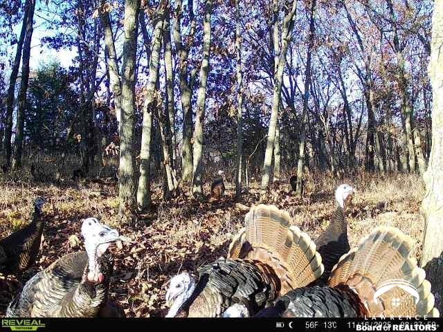 374 North 750 Road Overbrook, KS 66524 - Photo 60 of 60